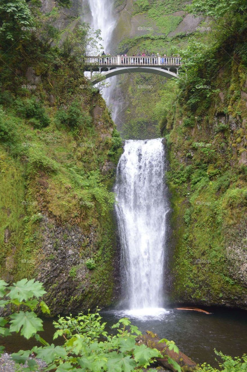 Multnomah Falls, OR
