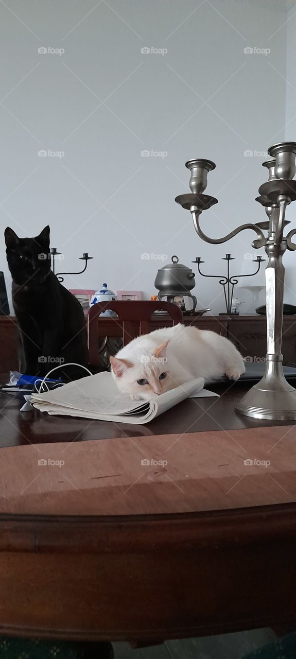 Excuses not to study