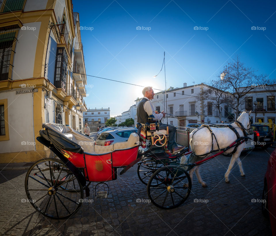 Spanish chariot