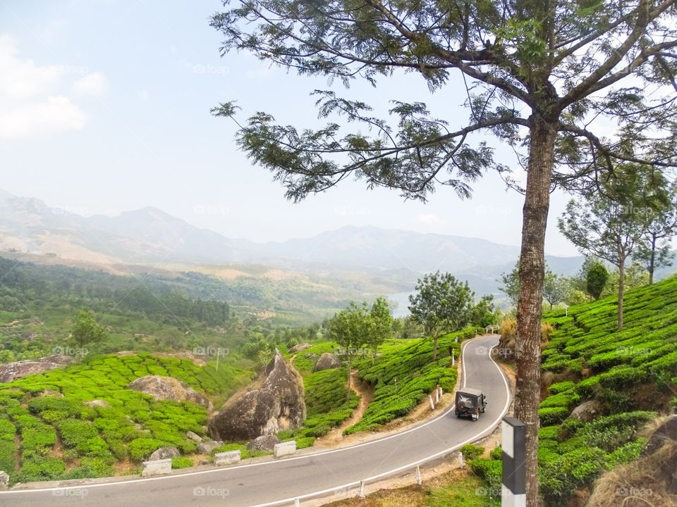 Munnar Road