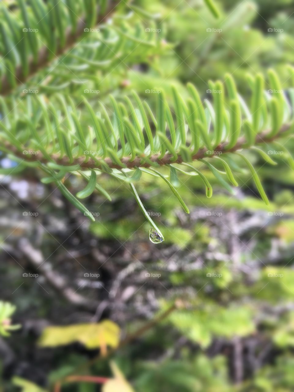 A single drop