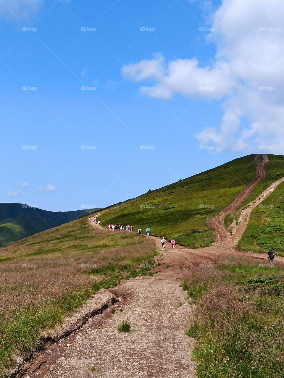 trekking in the mountains. travel to the Carpathian mountains