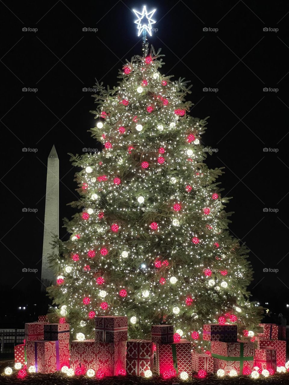 National Christmas tree, December 2021 in Washington DC