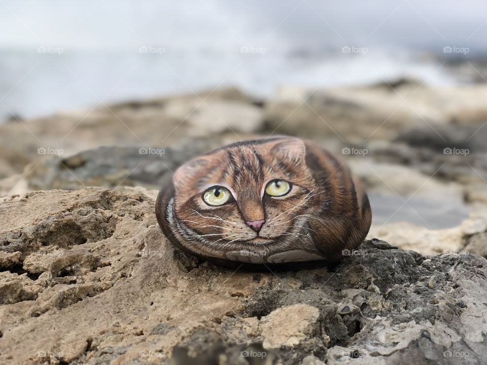 Stone cat on the rocks