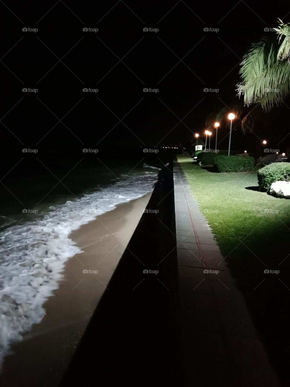 Night beach in sportlight