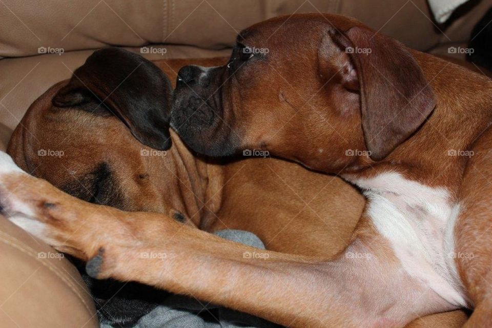 He's not  heavy he's my brother