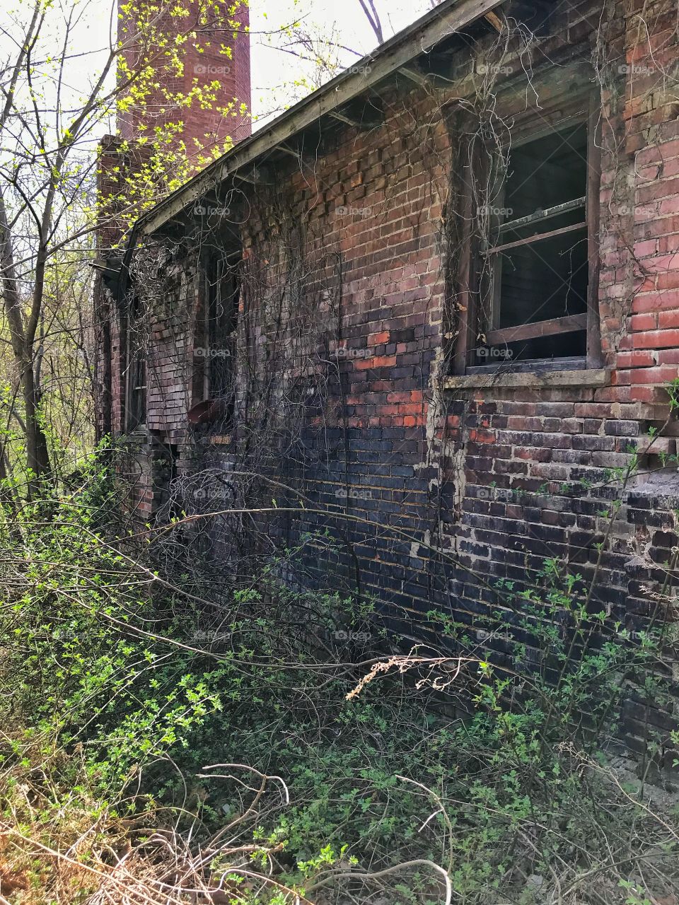 Abandoned distillery
