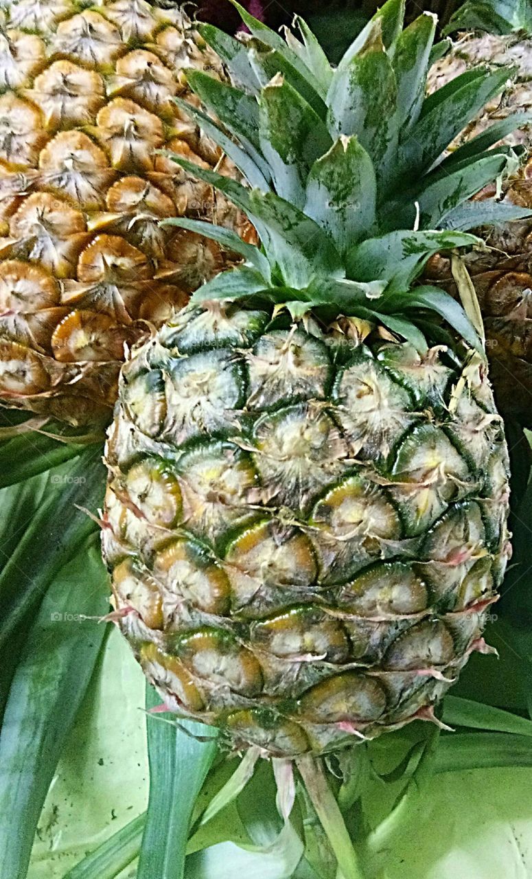 pineapples
