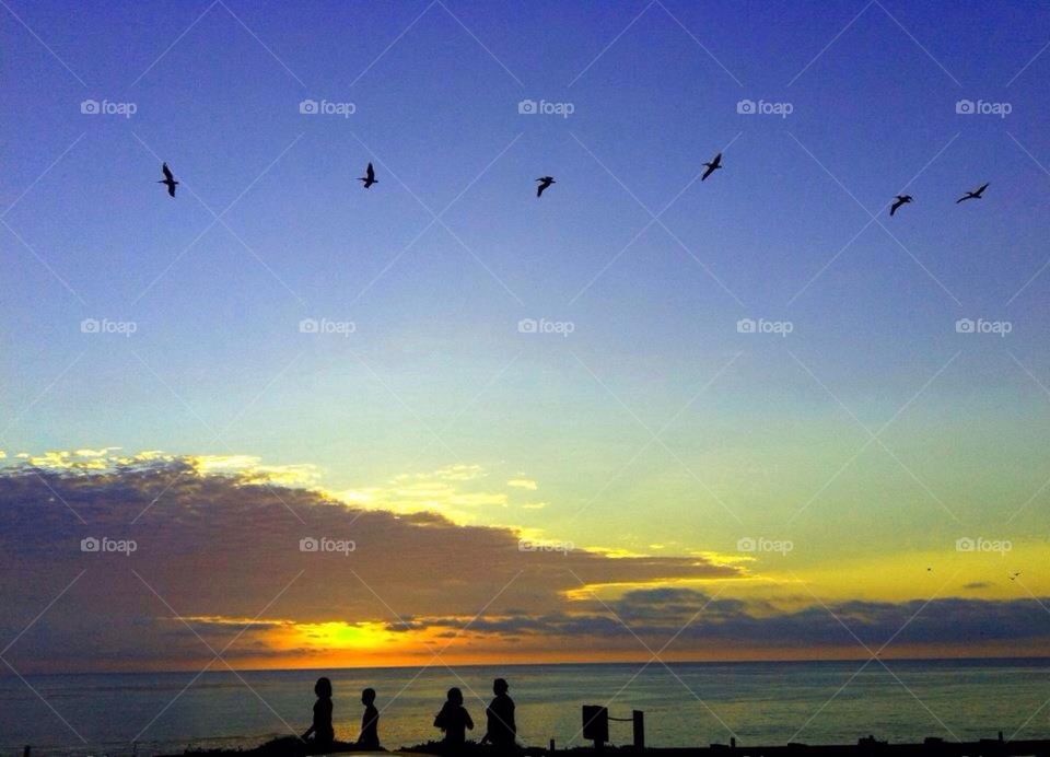 Pelican Sunset