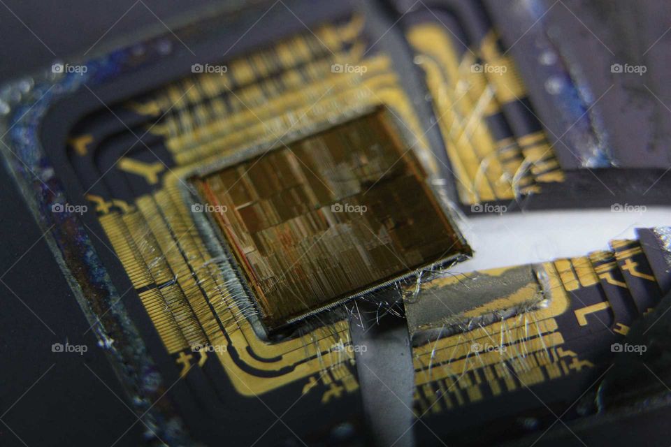 smashed computer brain