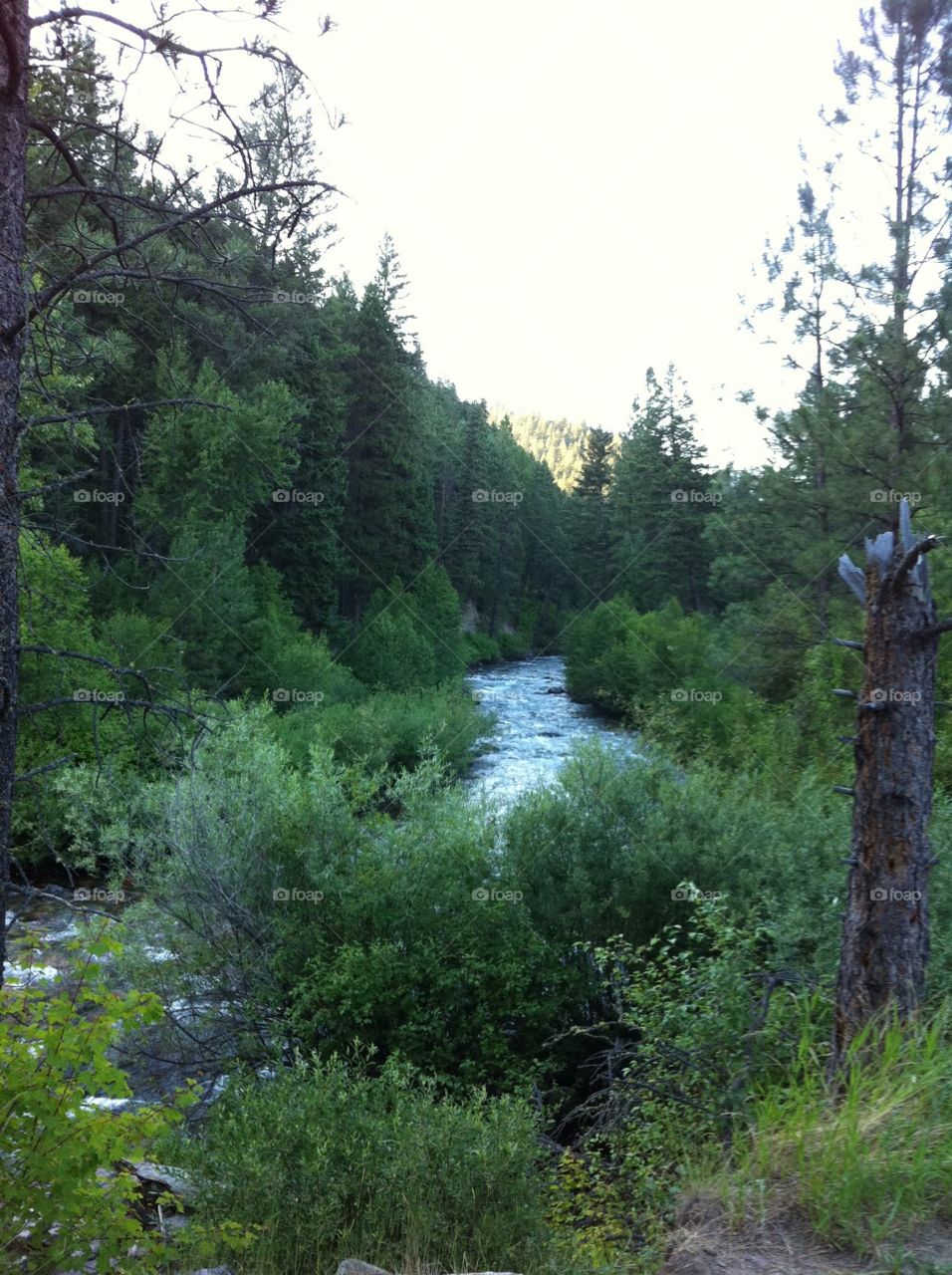 Montana beauty. River in Missoula Montana