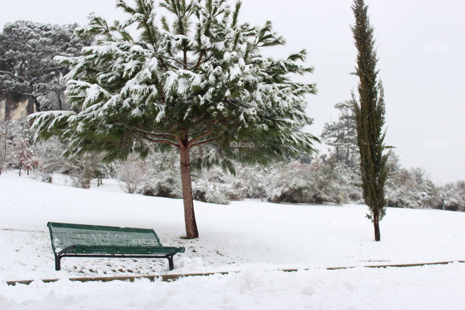 winter bench