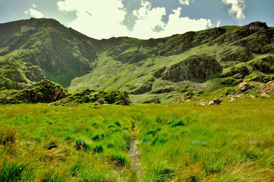 Stream from the mountains 
