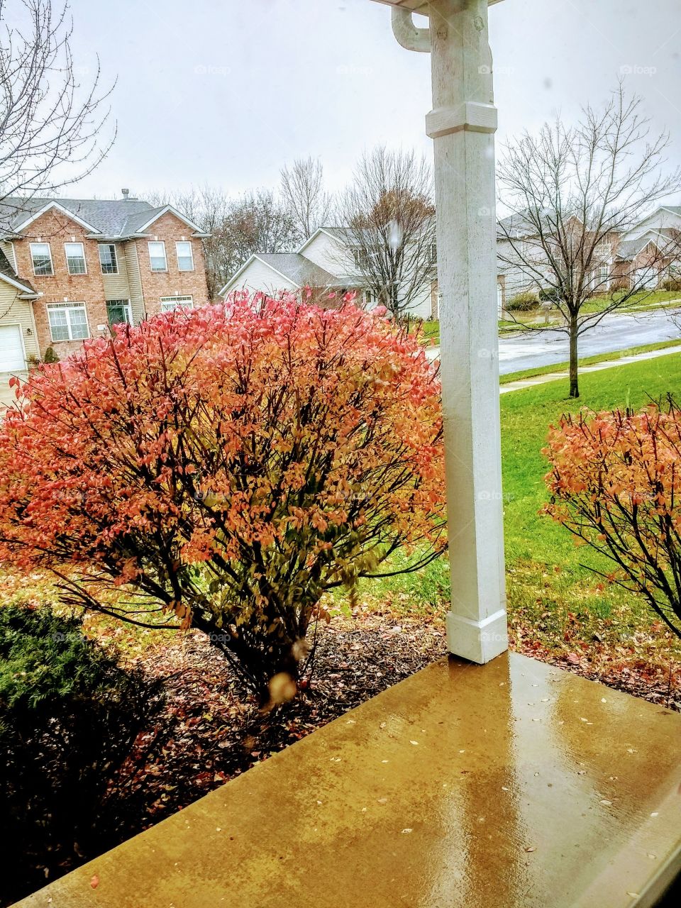 Autumn π The season of Autumn is more beautiful when it's raining π It helps all the colourful buds too blooms that's pretty π¦β€οΈβ€οΈβ€οΈ