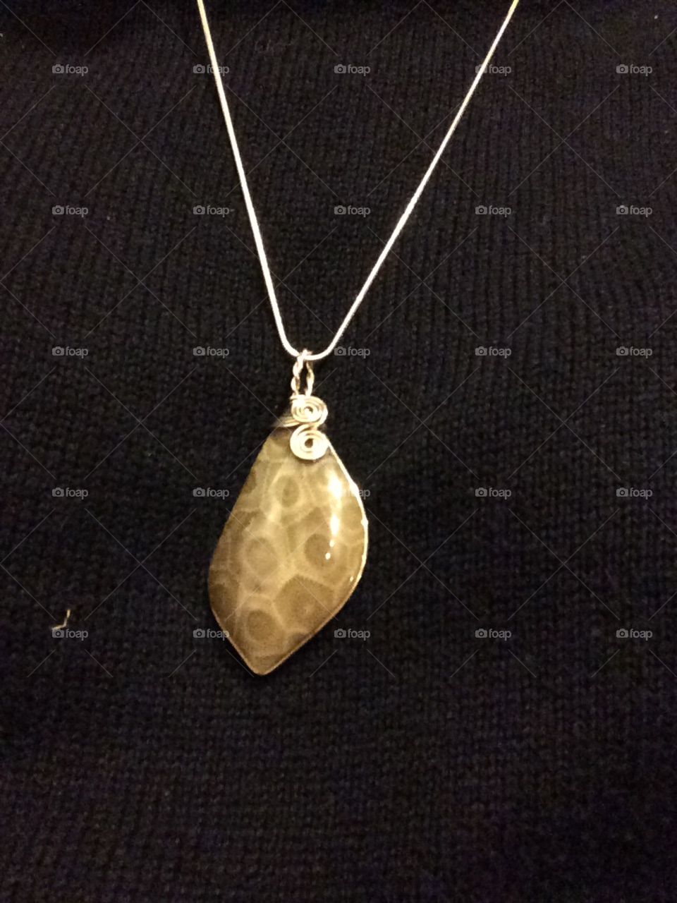 Petoskey Stone