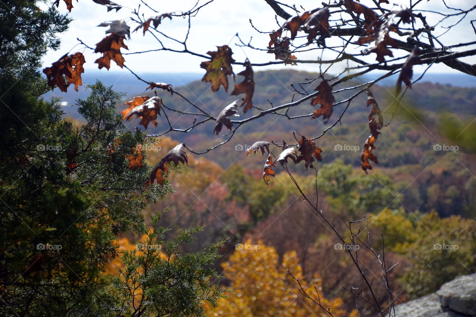 Southern Illinois Garden of the Gods