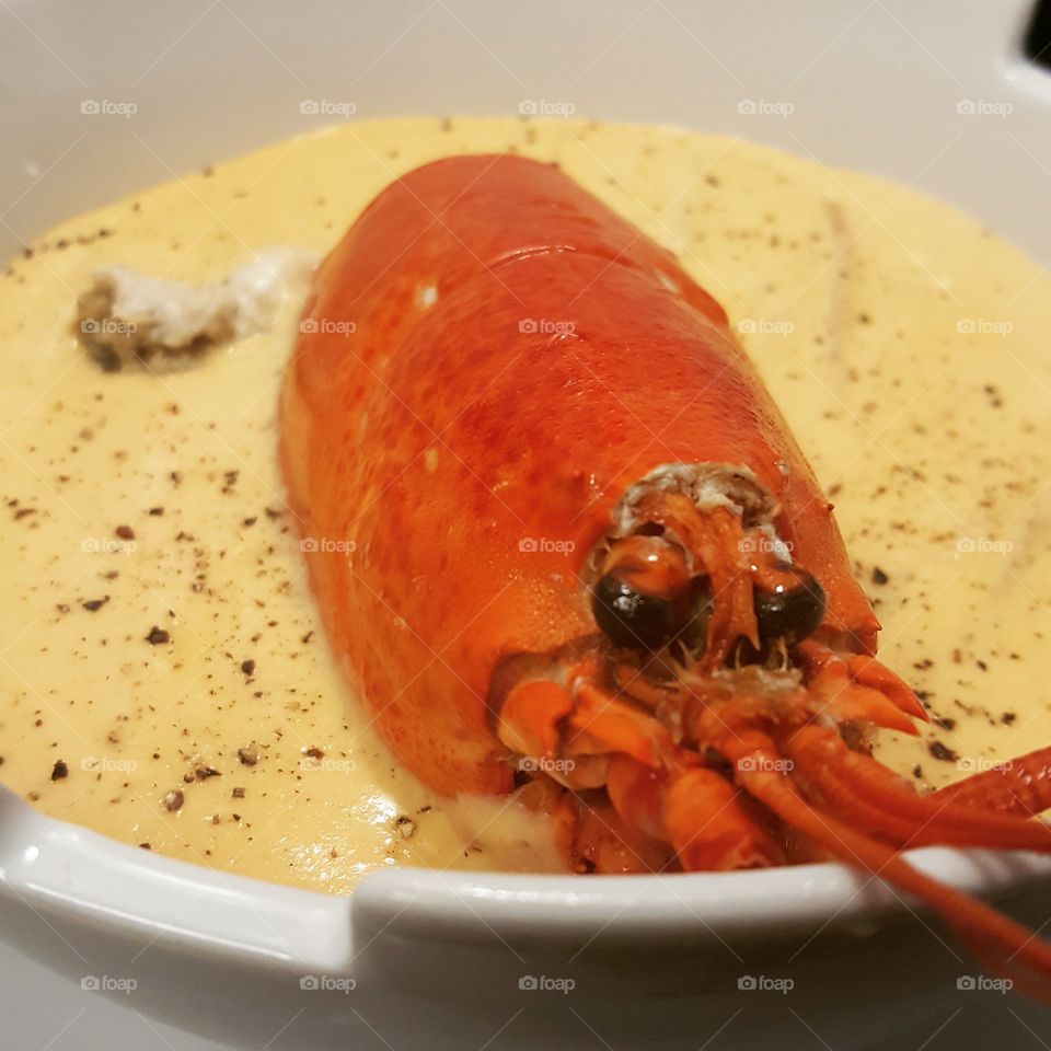 Lobster Bath