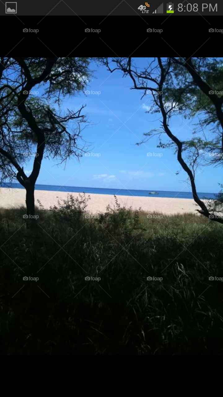 makaha beach