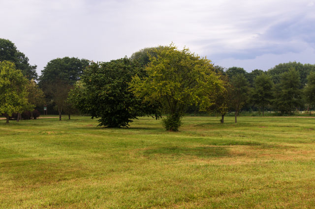 •  🌳  Ronald Reagan Park • Gdansk • Poland
•  💚  Summer Scene In The Park With Green Grass