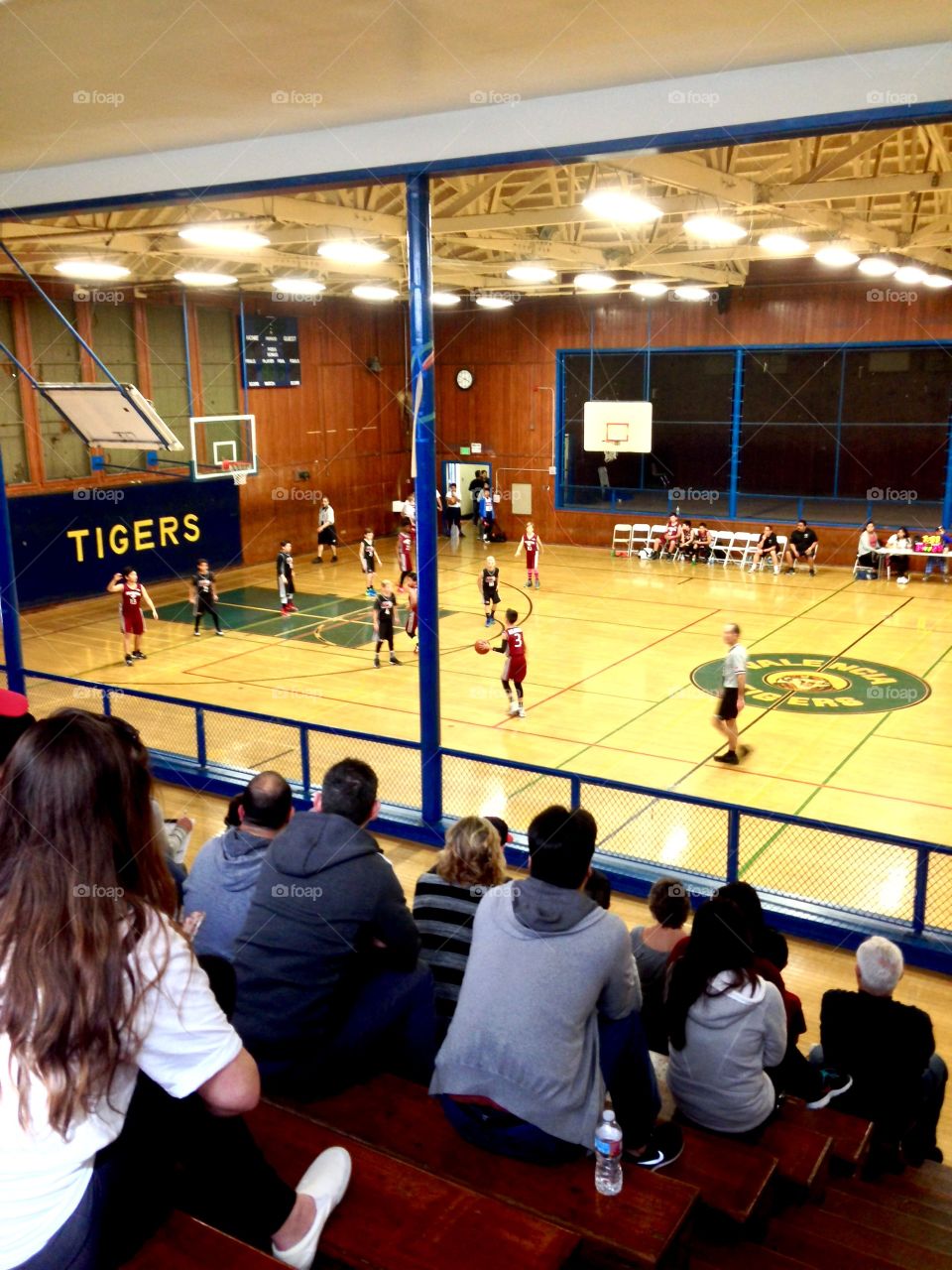 National Junior Basketball League 


Published by:
HappyBrownMonkey 