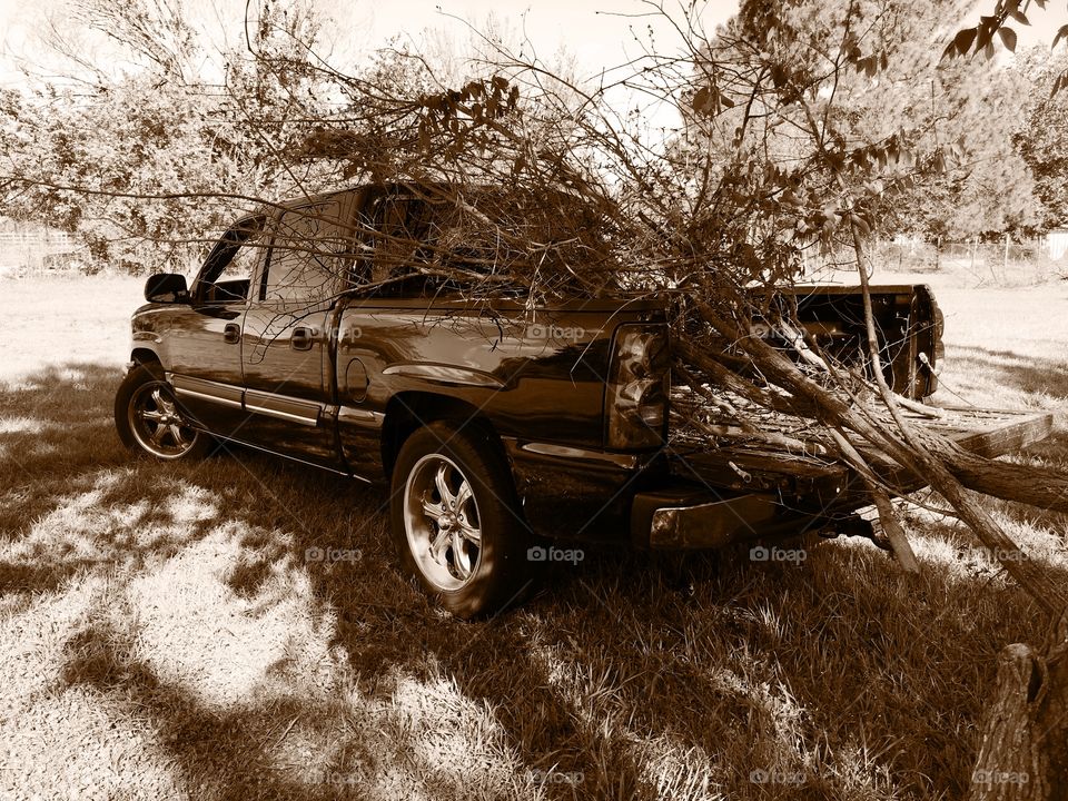 Black Chevy four door truck hauling brush in pasture black and white pic