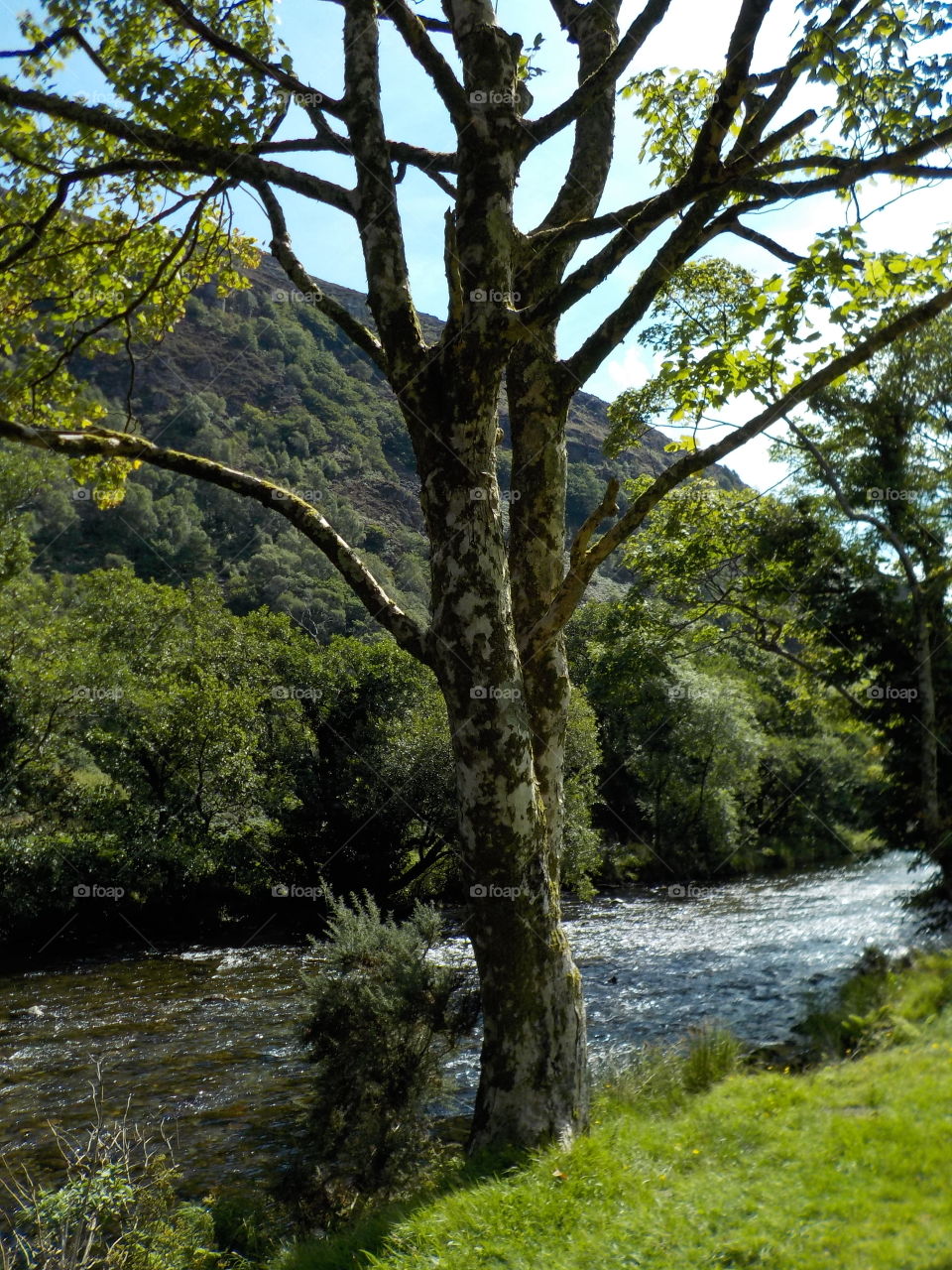 View of river and mountain