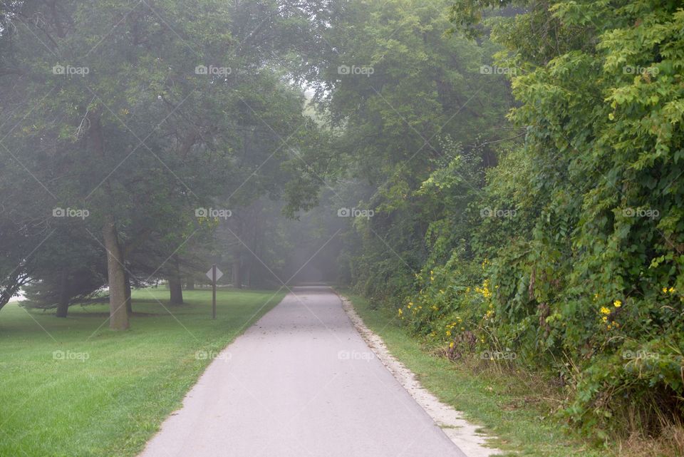 Fog path