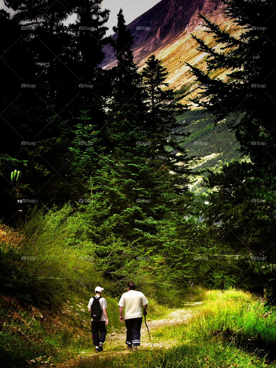 Walking. Alps