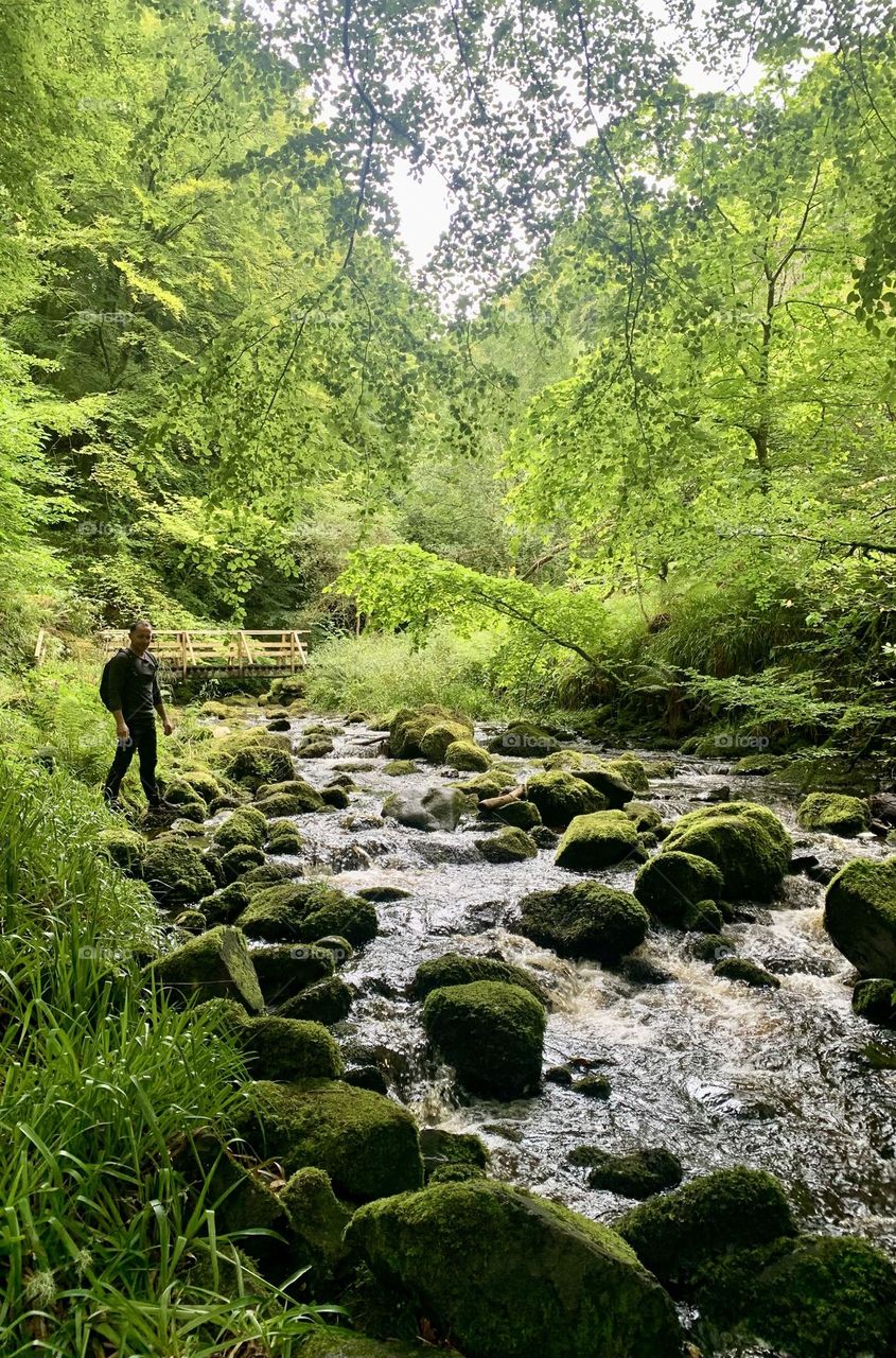 Mountain river in the forest
