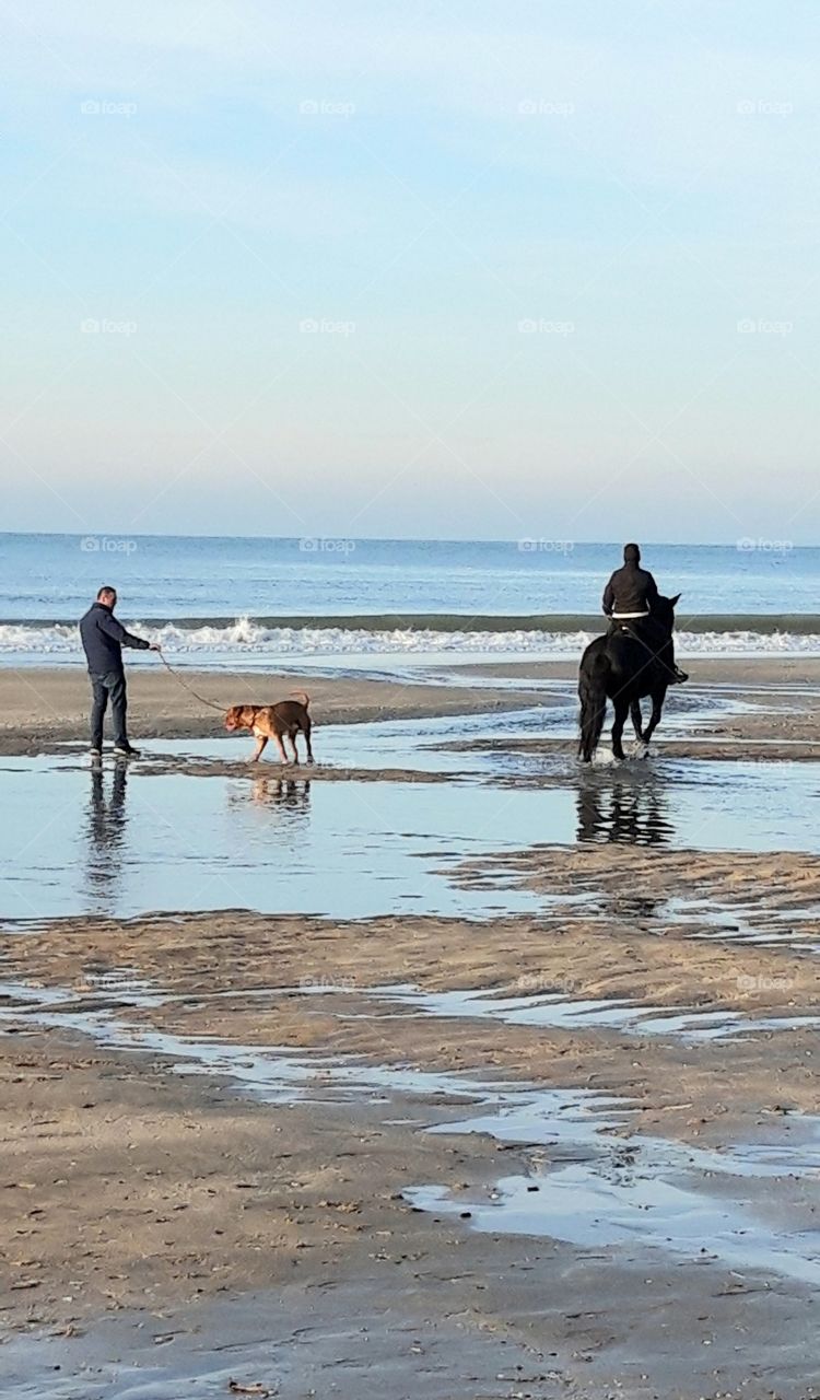 on the beach of Deauville
