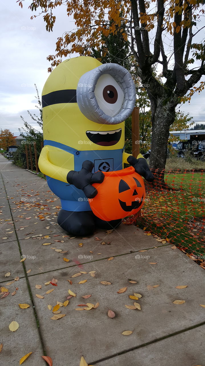 Halloween and Gaint Minion