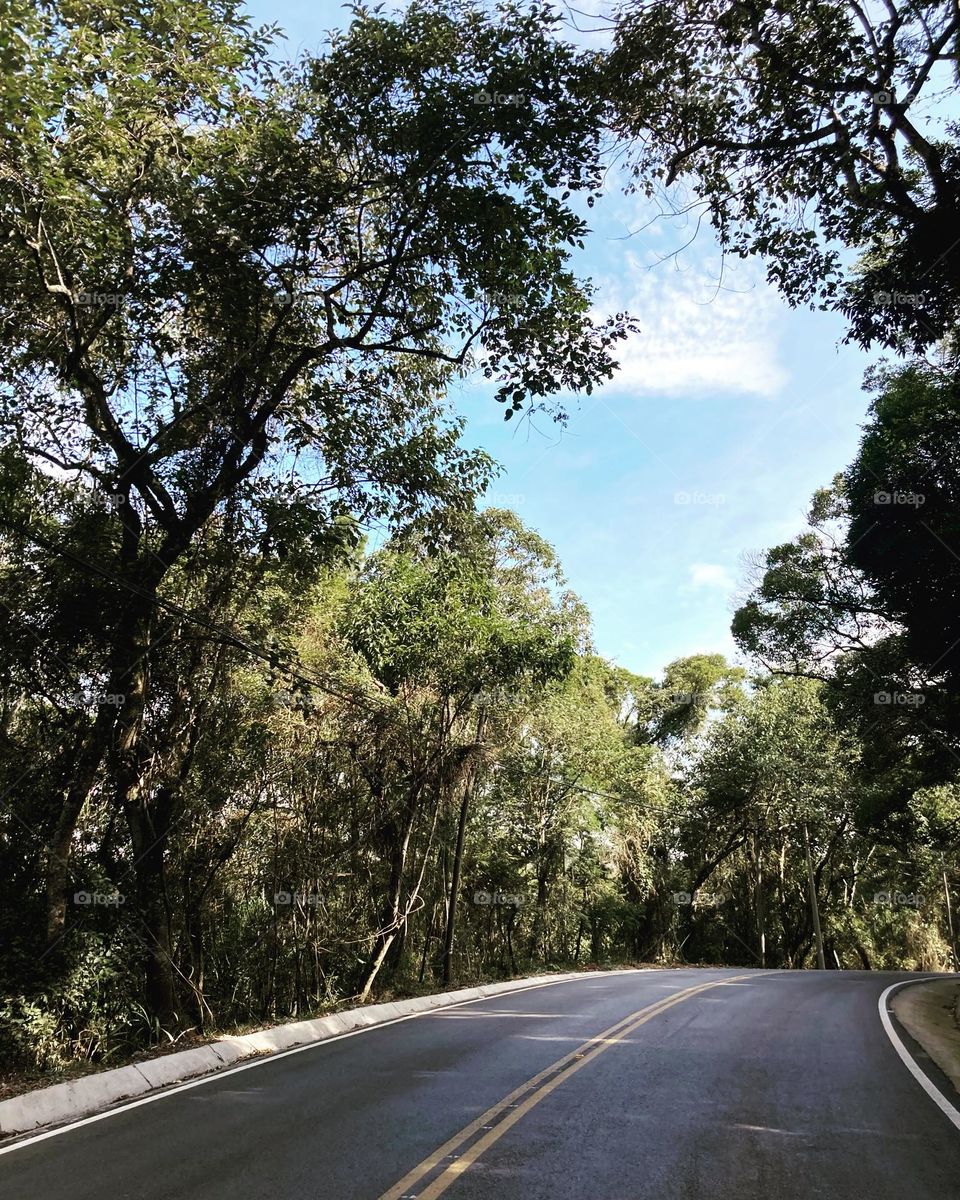 Jarinu, e um bonito trecho da estrada em meio à natureza. 
Nossa região é privilegiada pela Mãe-Terra.
📸
#FOTOGRAFIAéNOSSOhobby
#sky #céu #natureza #horizonte #fotografia 