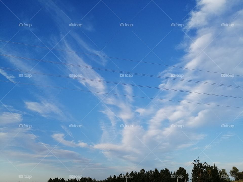 Sky
