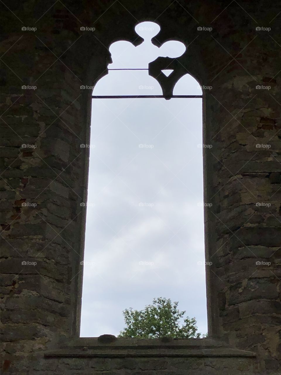 Alvastra monastery ruin