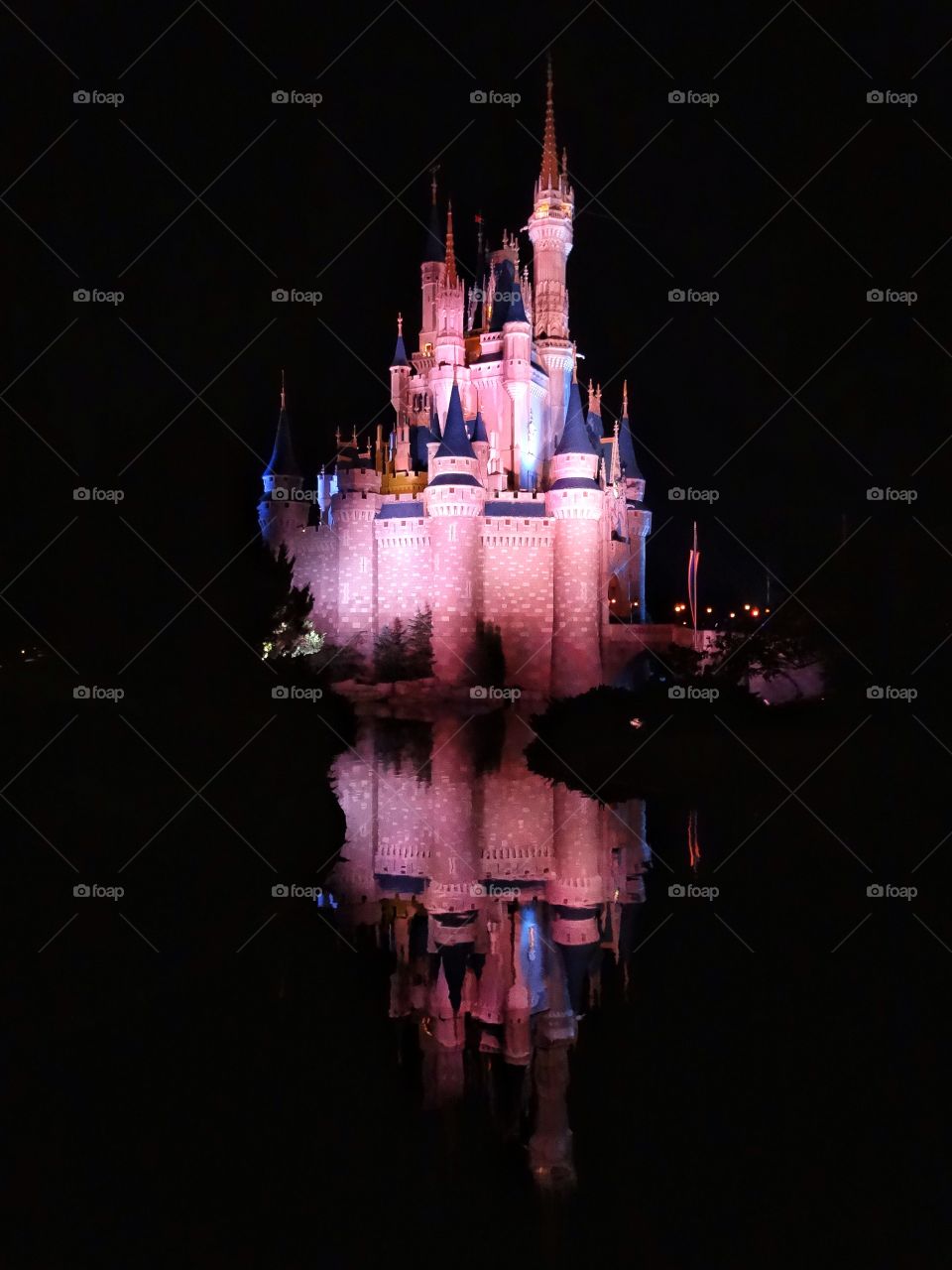 Cinderella Reflections