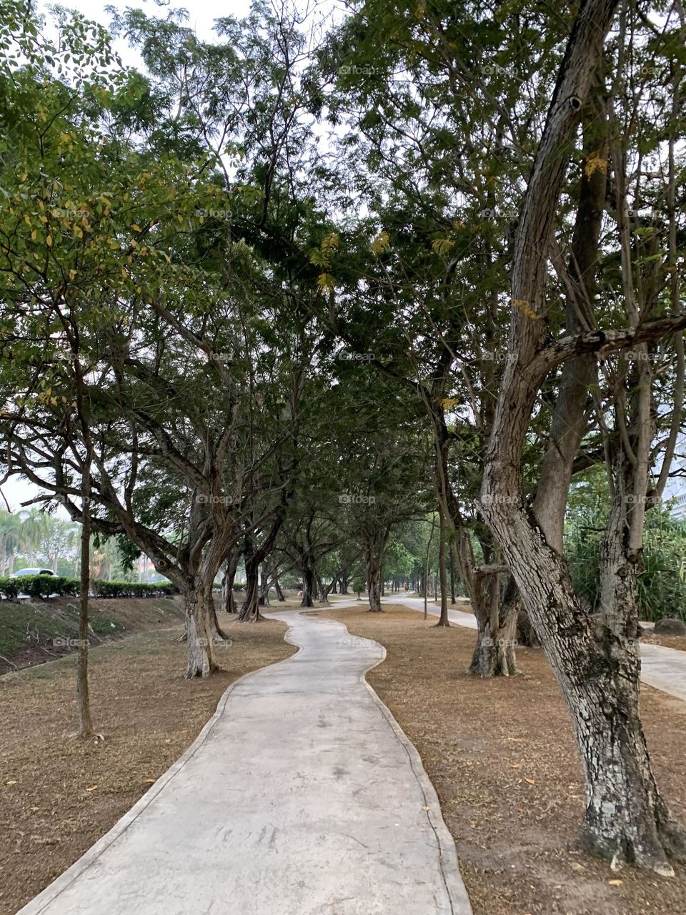 Jogging track in Batu Uban