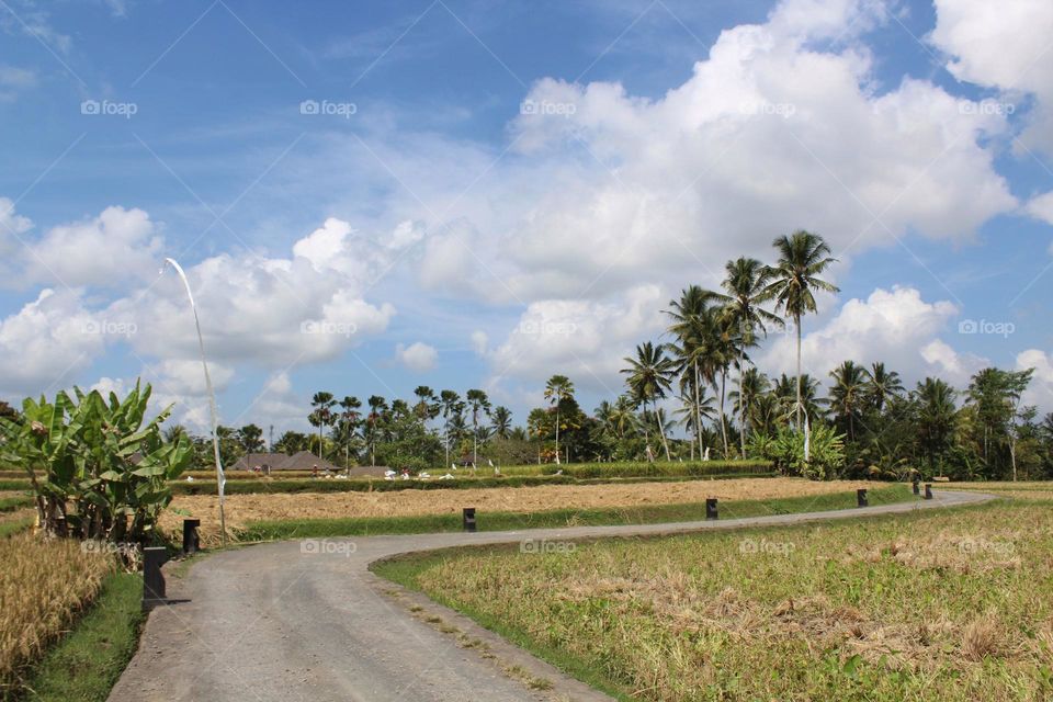 Hiking in Ubud countryside of Bali island