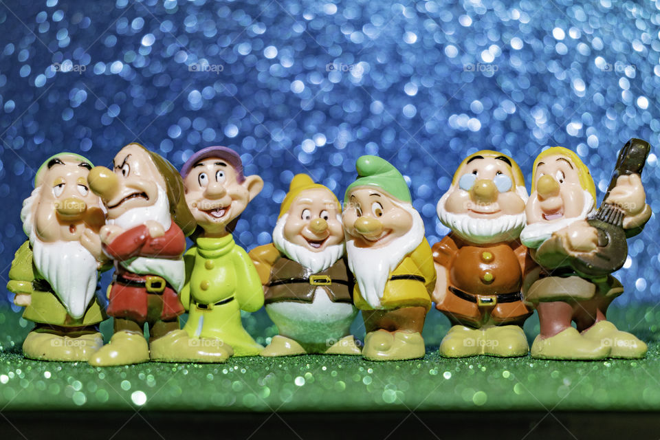 the cute seven dwarfs in closeup
