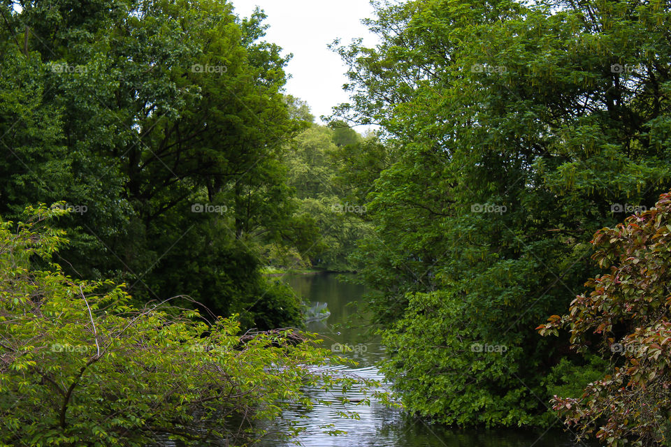 Lake View of St James' Park, London