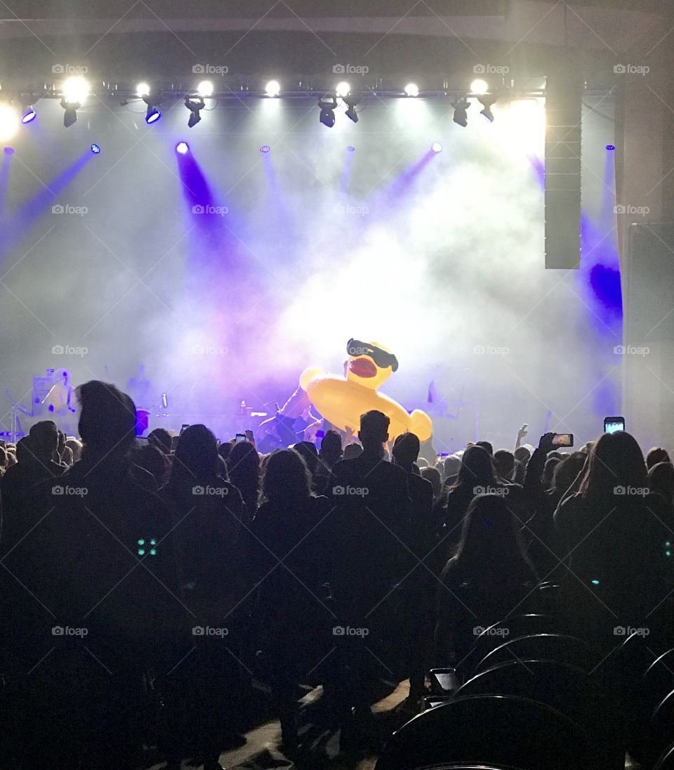 In floatable rubber duck crowd surfing at concert