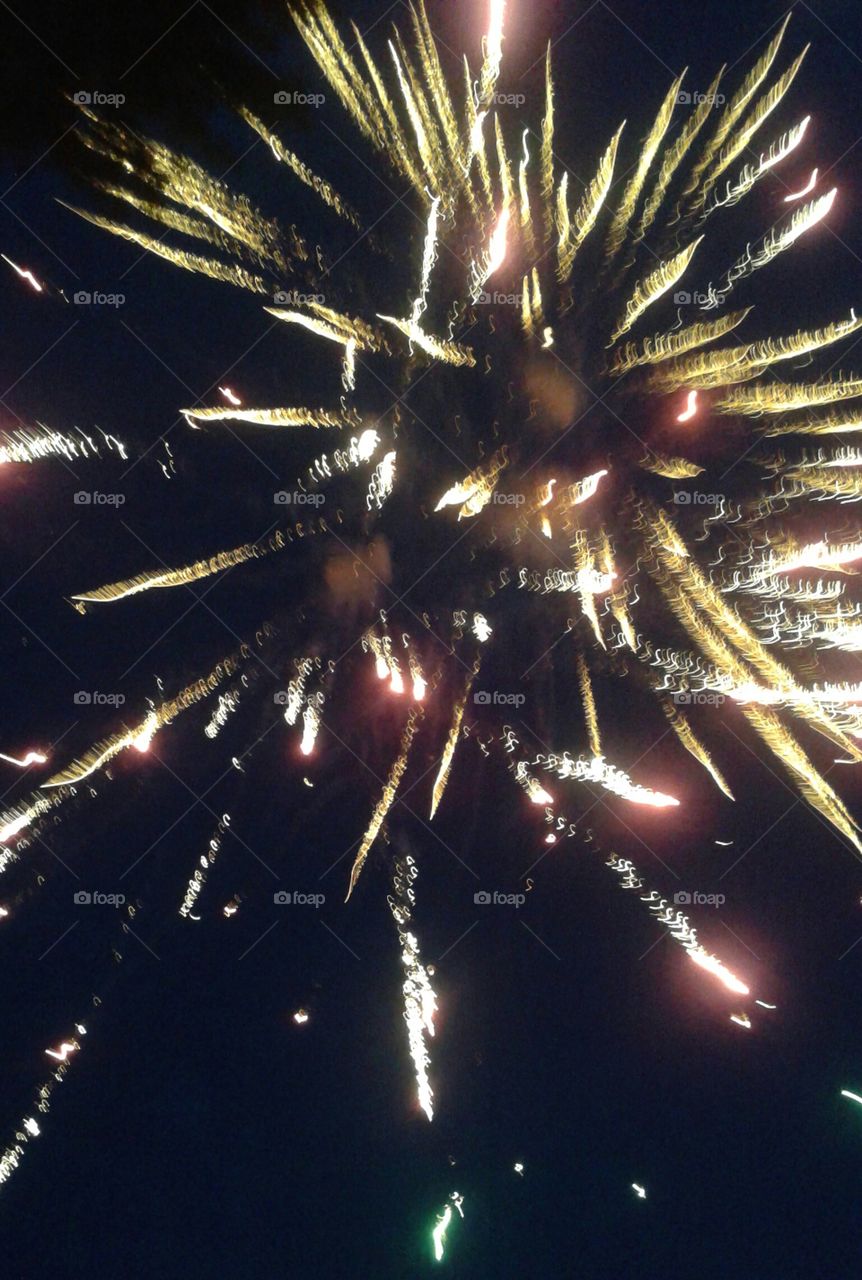 Fuzzy Firework. out of focus on this one