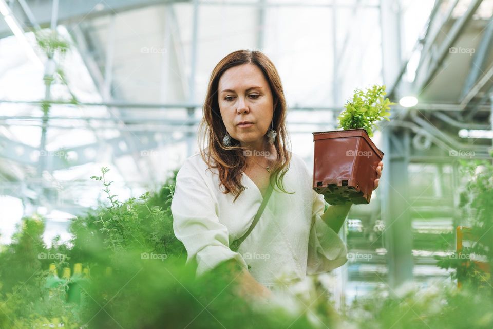 Brunette middle aged woman in white dress buys green potted house plants at the garden store