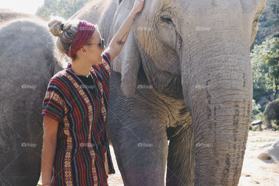 Elephant sanctuary - Chiang Mai 