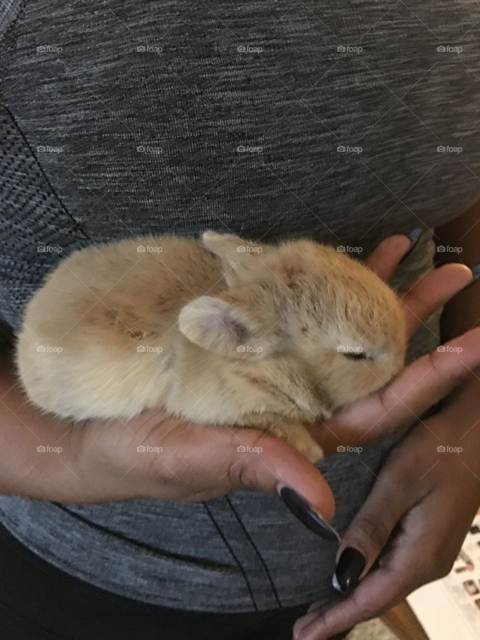 Only thirteen days old. 