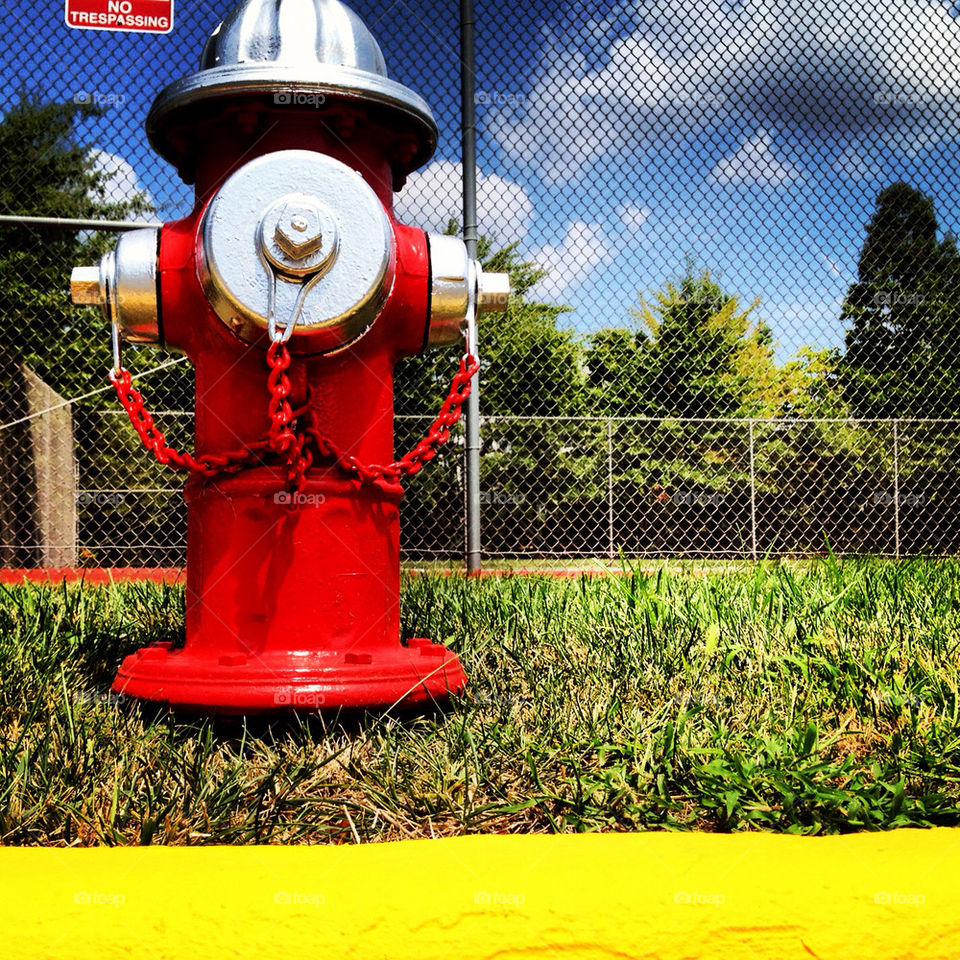 Trespassing fire hydrant.