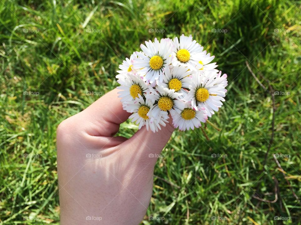 Spring bouquet