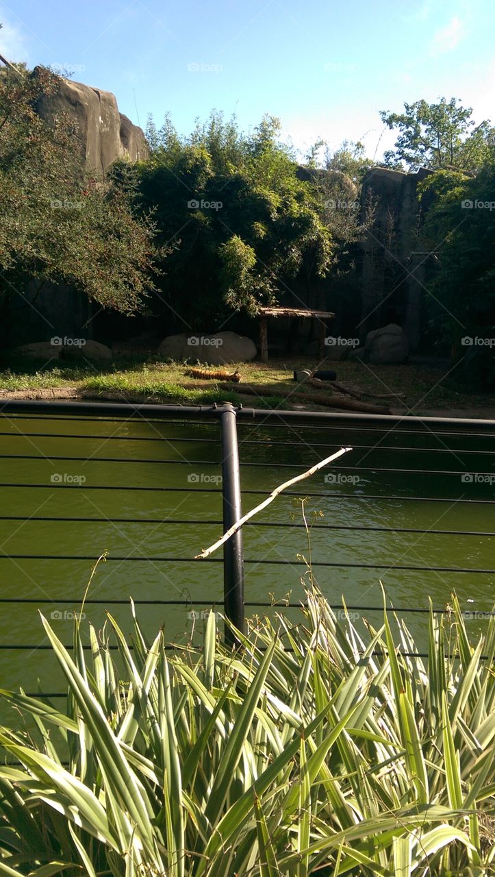 No Person, Nature, Water, Landscape, Tree