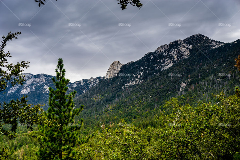 Idyllwild 3