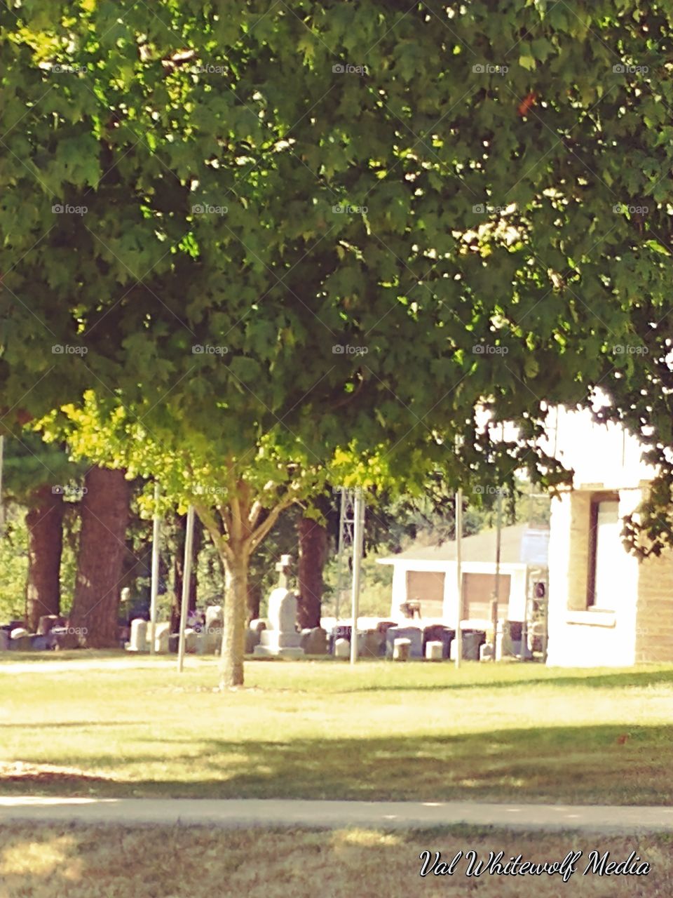 fall comming,trees,grave yard