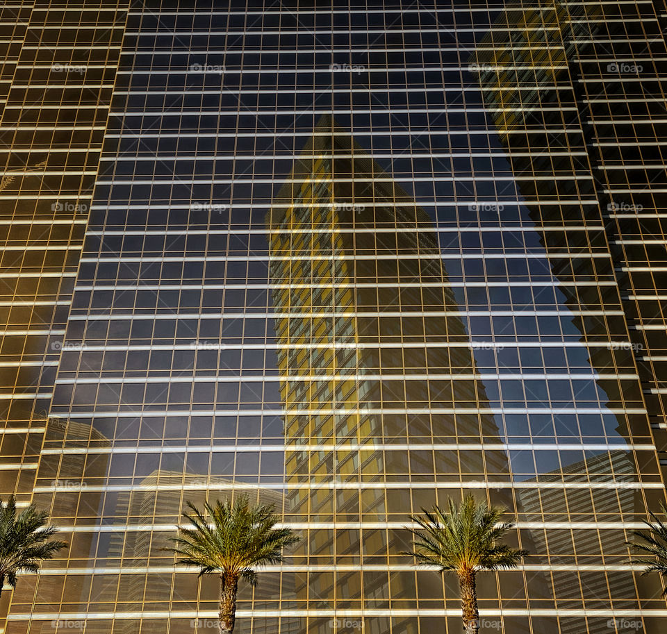 Palm trees dwarfed by steel-and-glass skyscrapers